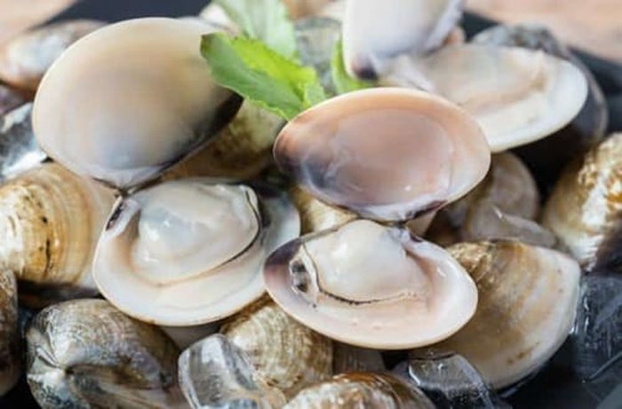 Fresh clams and shelled scallops, part of the shellfish mix for mariscal frio.