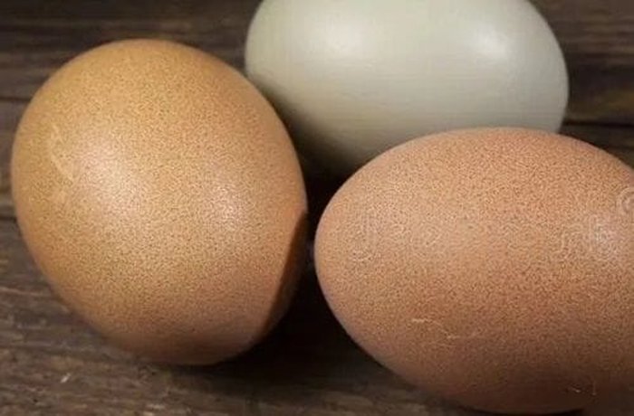 Fresh eggs for the emulsified polleria vinaigrette