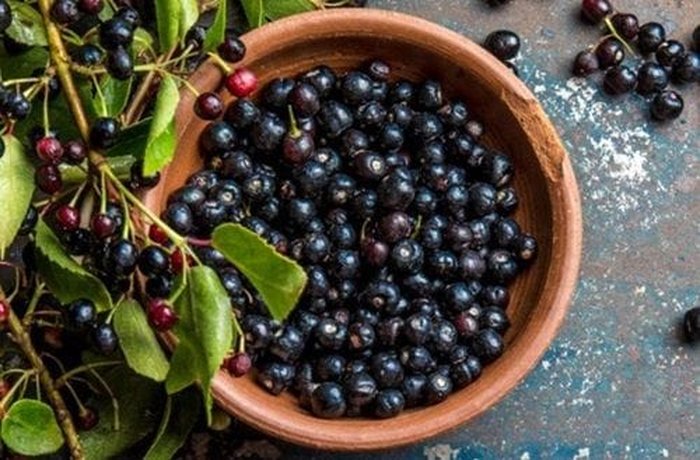 Small, dark wild maqui berries, freshly washed and with their stems removed.