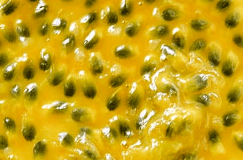 Fresh passion fruit pulp Fresh passion fruit pulp with seeds, ready to be used in the gin cocktail.