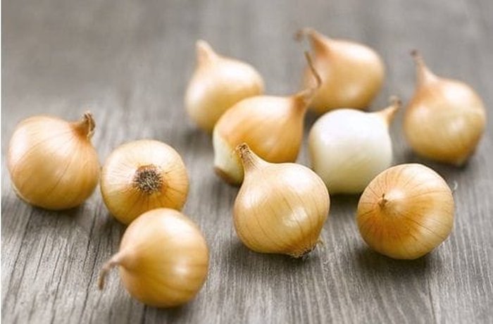 Pearl onions to add to the jars of pickled pine nuts