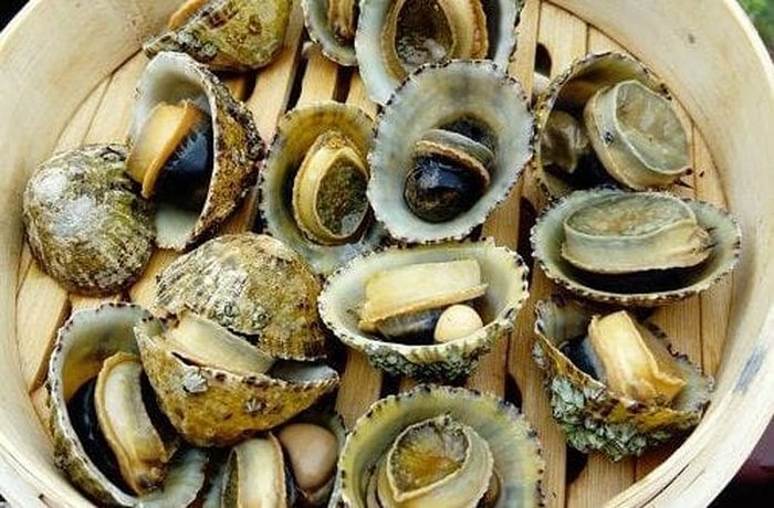 Raw chapes, a native limpet mollusk, ready for the empanada filling.