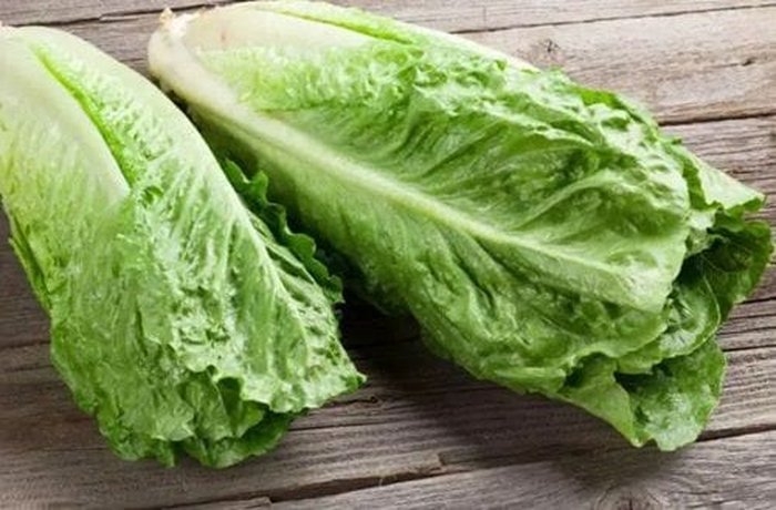 Fresh romaine lettuce for the tortilla