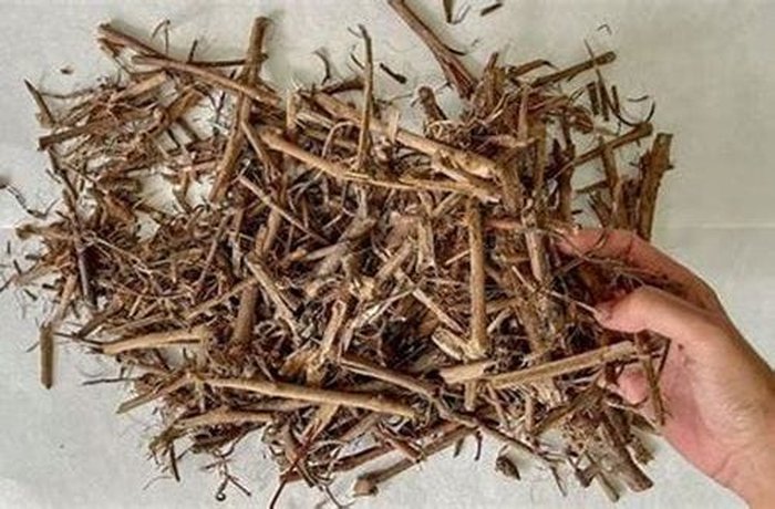 Dry vine shoot twigs, burned to obtain the clarifying ash used in the arrope