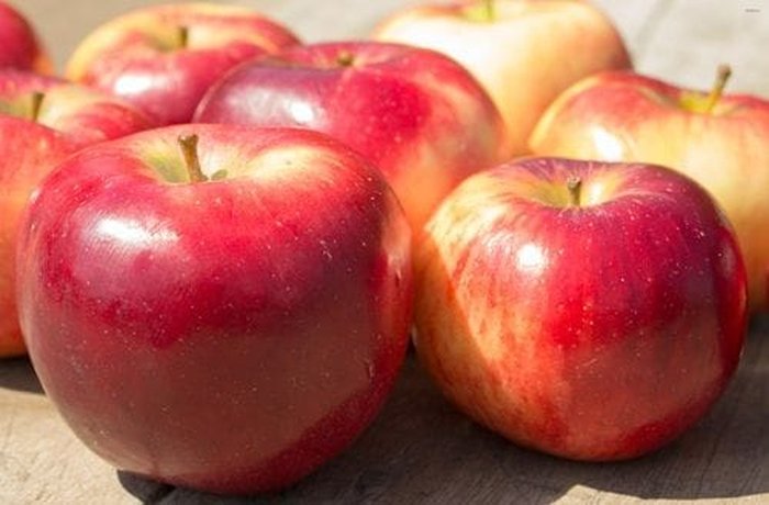 Apples for oatmeal apple cookies