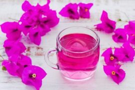 Purple bougainvillea flower drink in a glass