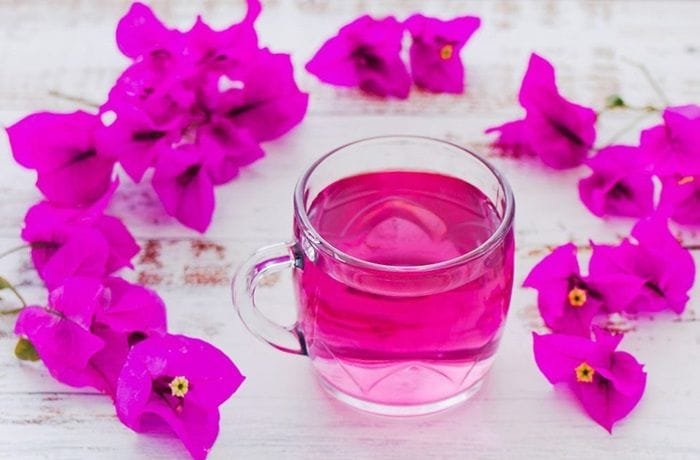 Purple bougainvillea flower drink in a glass