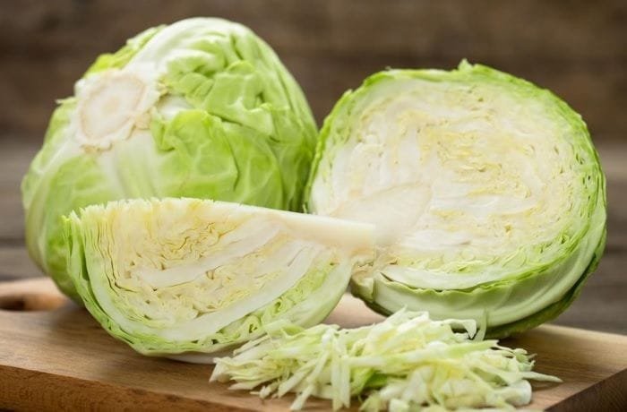 Cabbage for the Chilean country dish guachasca
