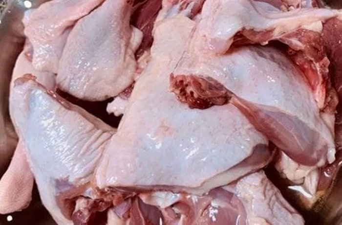 Raw caiquén goose cut into pieces, ready to be blanched for the cazuela
