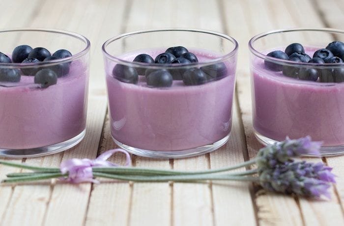 Chilean blueberry mousse served in dessert cups and topped with fresh blueberries