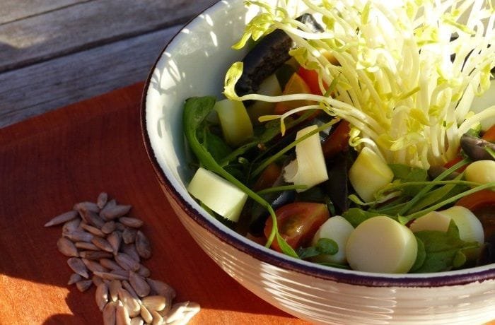 Chilean coligüe bamboo shoot salad with cherry tomatoes, olives, and spinach