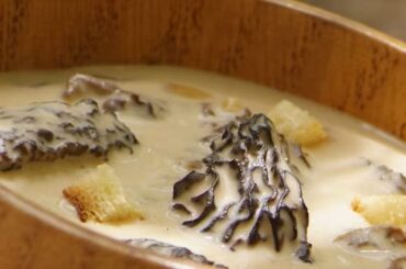 Chilean morels in a creamy sauce with chives