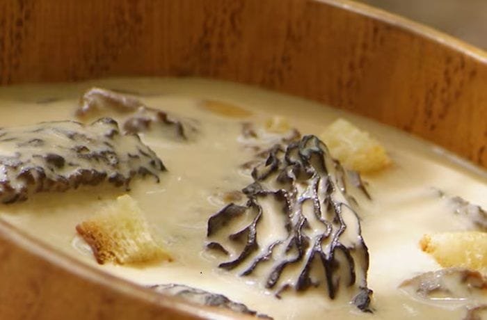 Chilean morels in a creamy sauce with chives