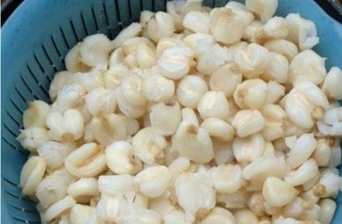 Cooked wheat mote for Chilean creamy mote