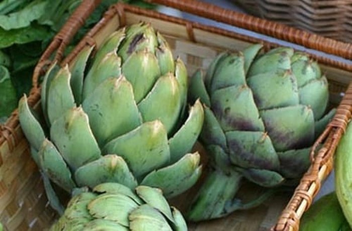 Fresh artichokes for making artichoke water