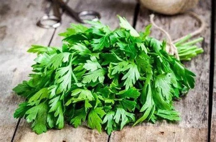 Fresh parsley for Provençal sauce