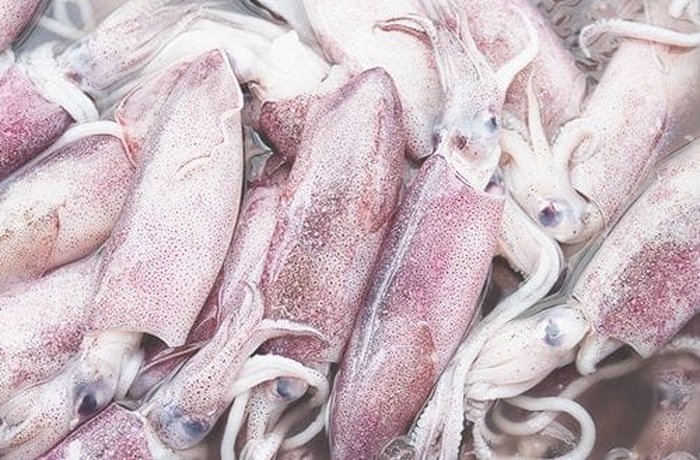 Fresh whole squid to cook in its ink