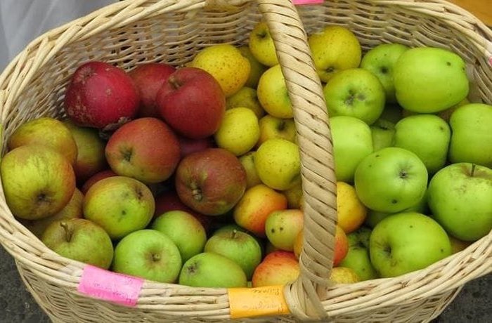 Apples to grate into nalca jam for natural pectin