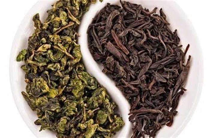 Green and black tea for homemade kombucha