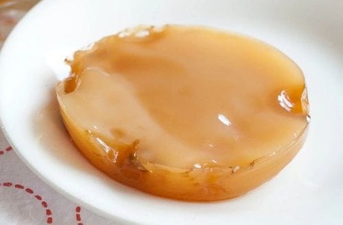 Kombucha SCOBY culture
