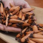 Mapuche pine nut muday drink