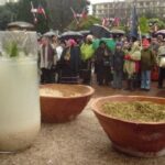 Mapuche wheat muday, a cloudy traditional fermented drink