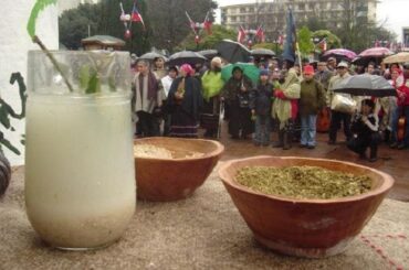 Mapuche wheat muday, a cloudy traditional fermented drink
