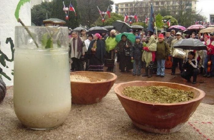 Mapuche wheat muday, a cloudy traditional fermented drink