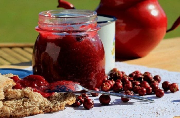 Murta Jam, a Mapuche dessert