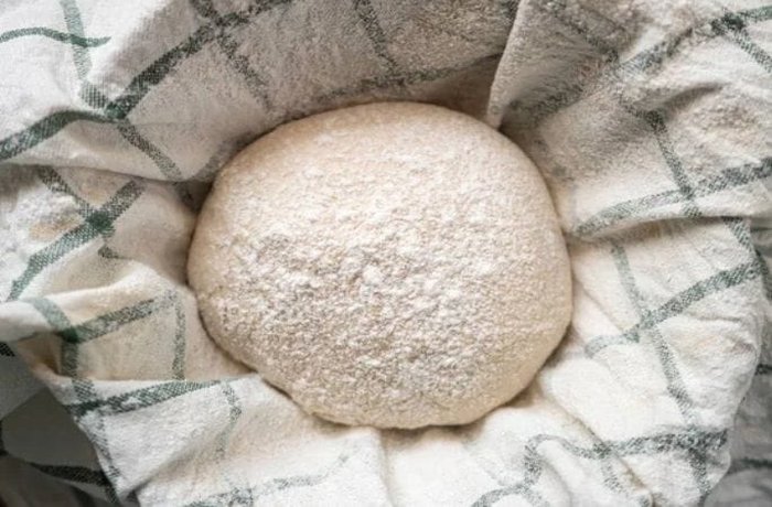 Risen potato bread dough