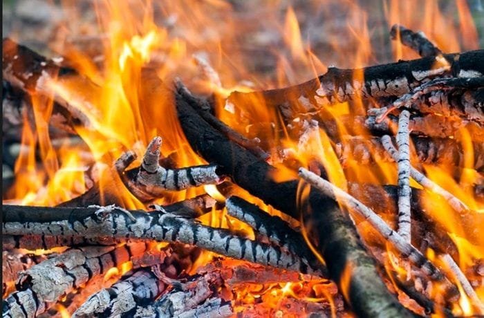 Glowing wood charcoal ember for Chilean charcoal coffee